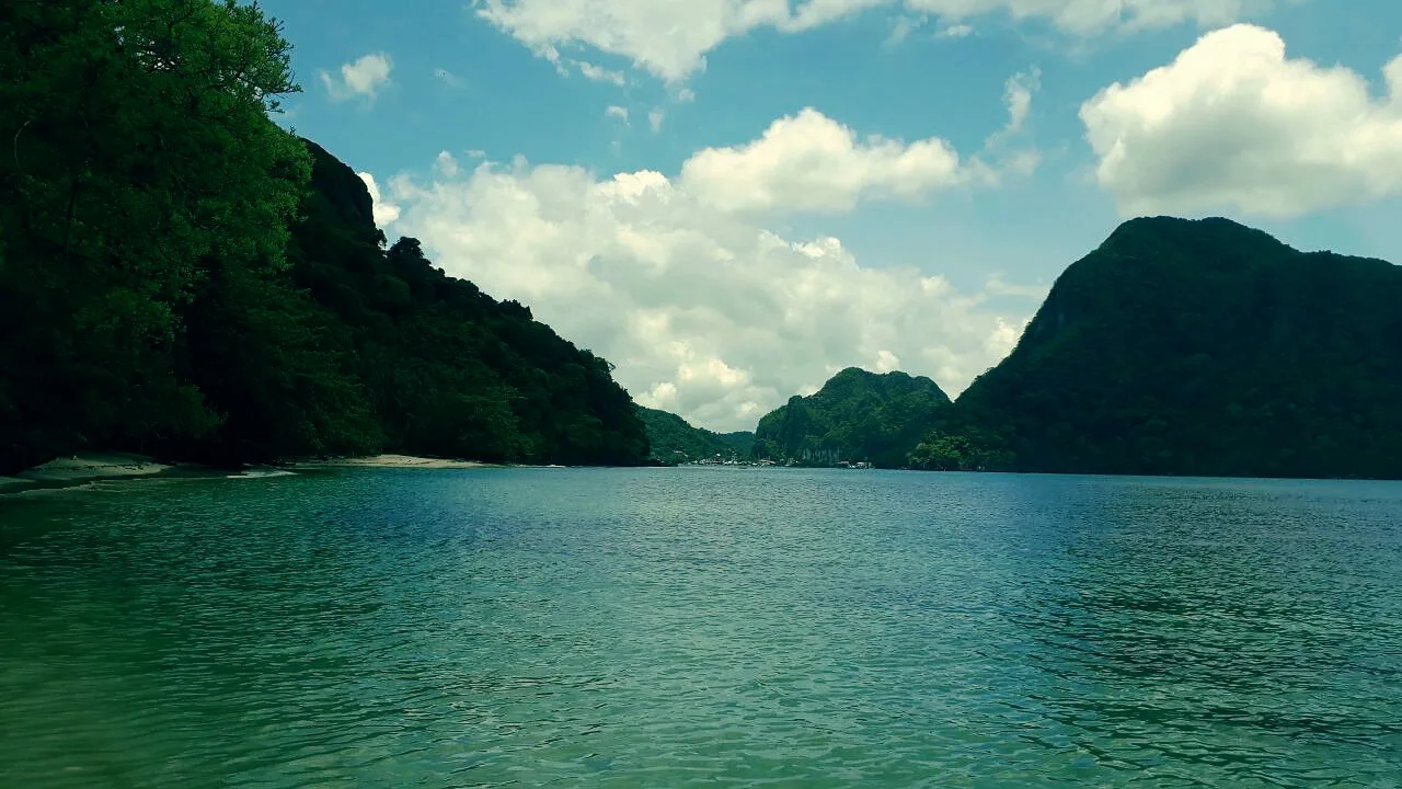 Palm-backed beach and clear sea near El Nido