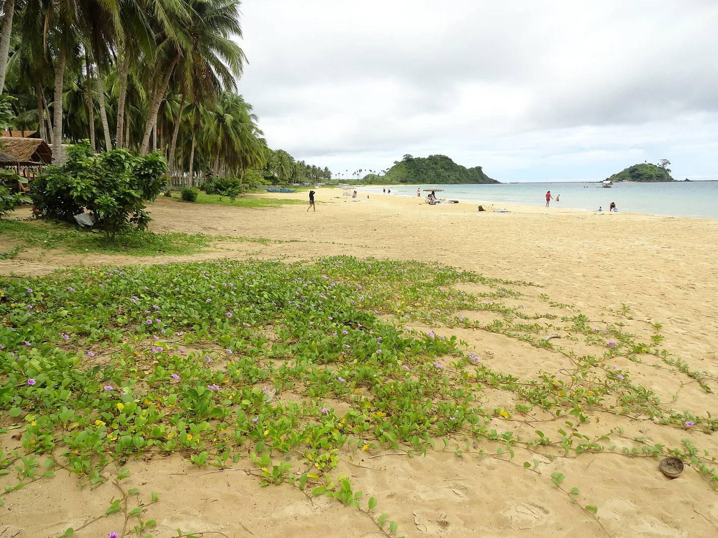 Haqqy Life Nacpan Adventure El Nido