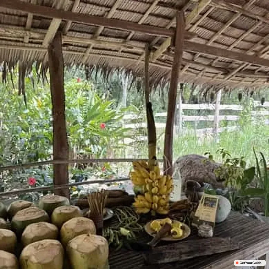 El Nido Sibaltan Local Organic Farm Tour & Product Tasting