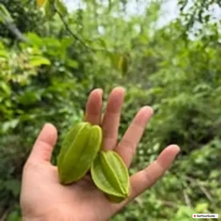 , Sibaltan: Local Organic Farm Tour & Product Tasting