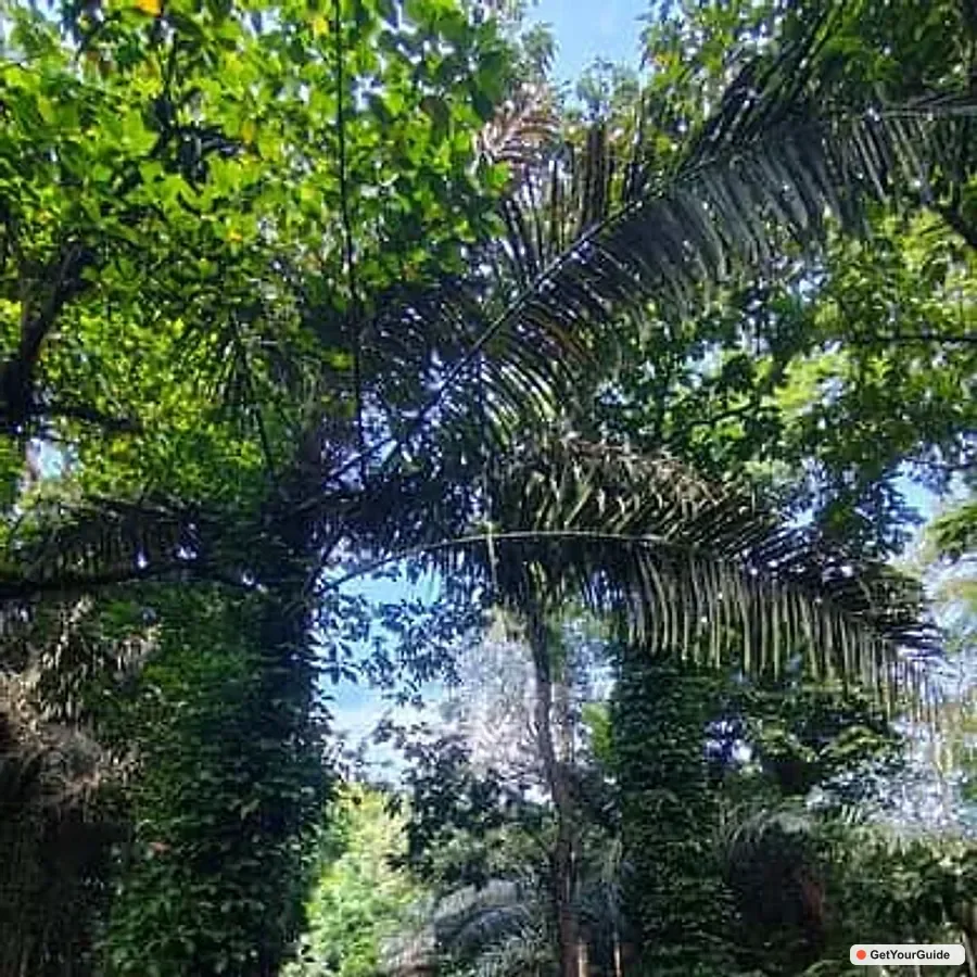 Hidden Valley Natural Spring experience -Private Car