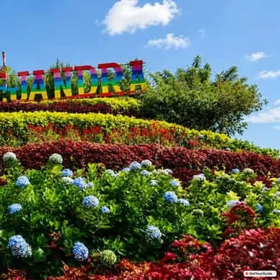 Cebu Highlands Escape with Coffee Farm Experience