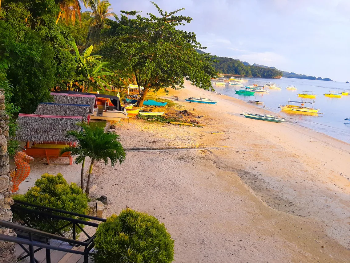 Nataasan Beach Resort and Dive Center photo 3