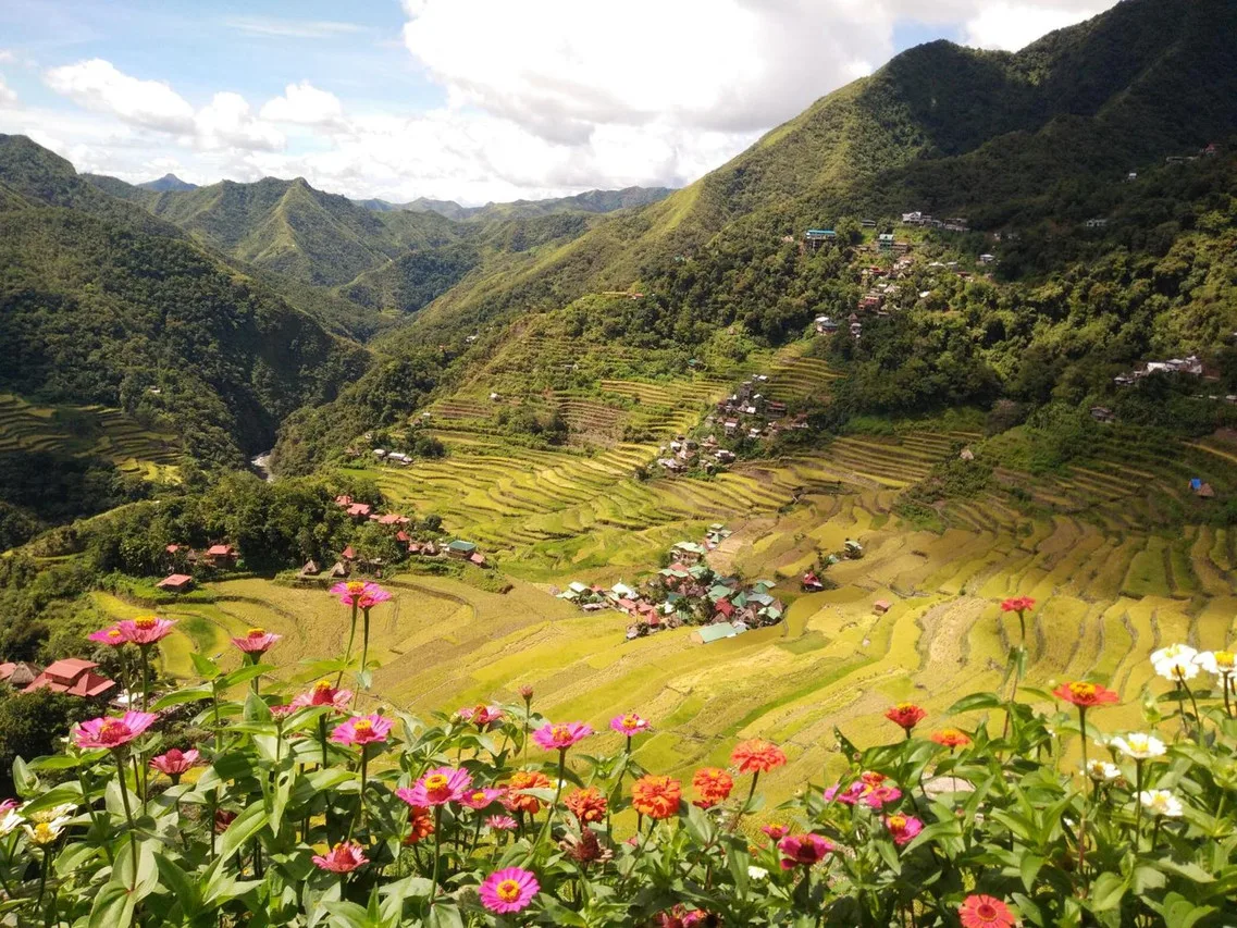 Batad View Inn and Restaurant photo 3