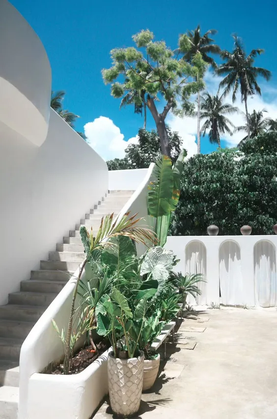 Bassa Nova Resort photo 4