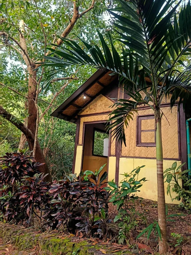 Busuanga Backpackers