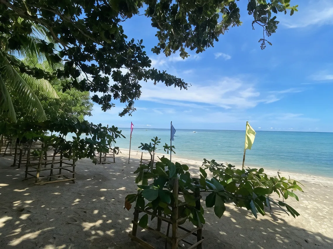 Palm Garden Resort photo 2