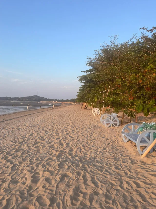 Palm Garden Resort photo 4