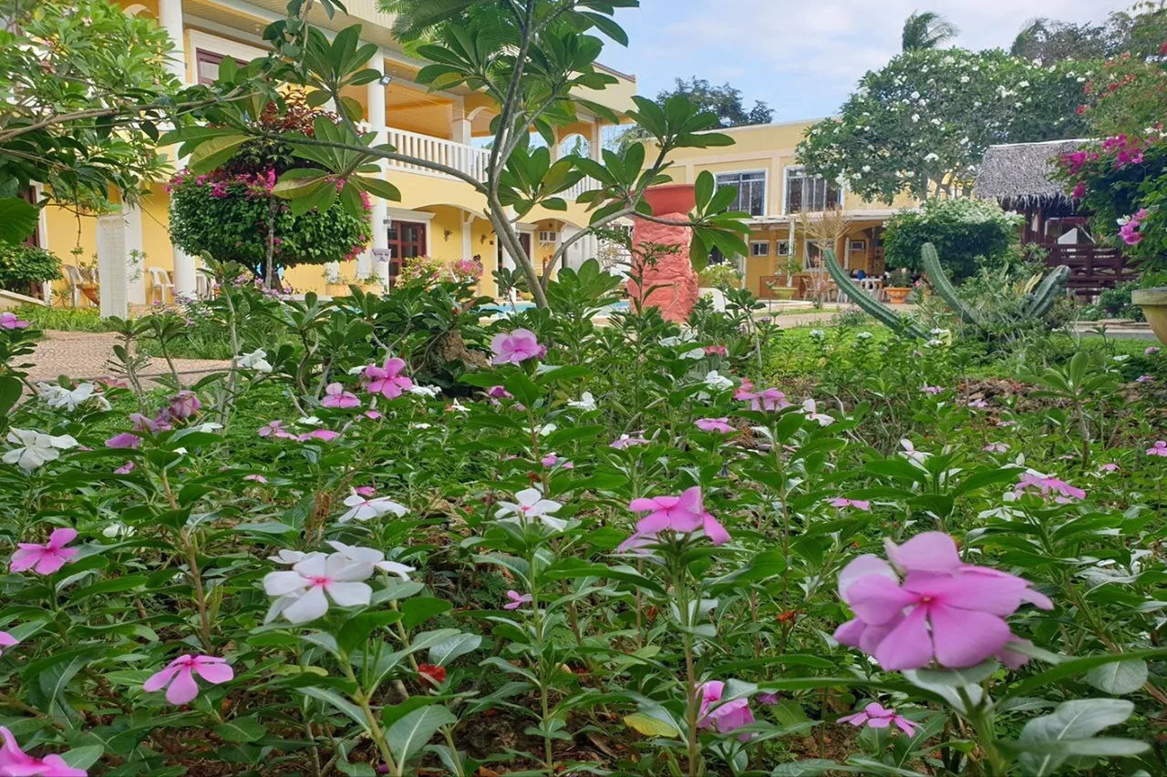 Hanbee's Resort Puerto Princesa Palawan photo 4