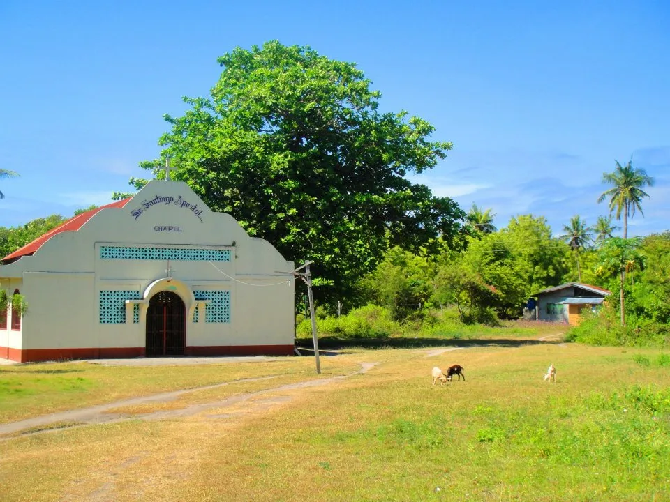 Balicasag Island Tour with Dolphin Watching