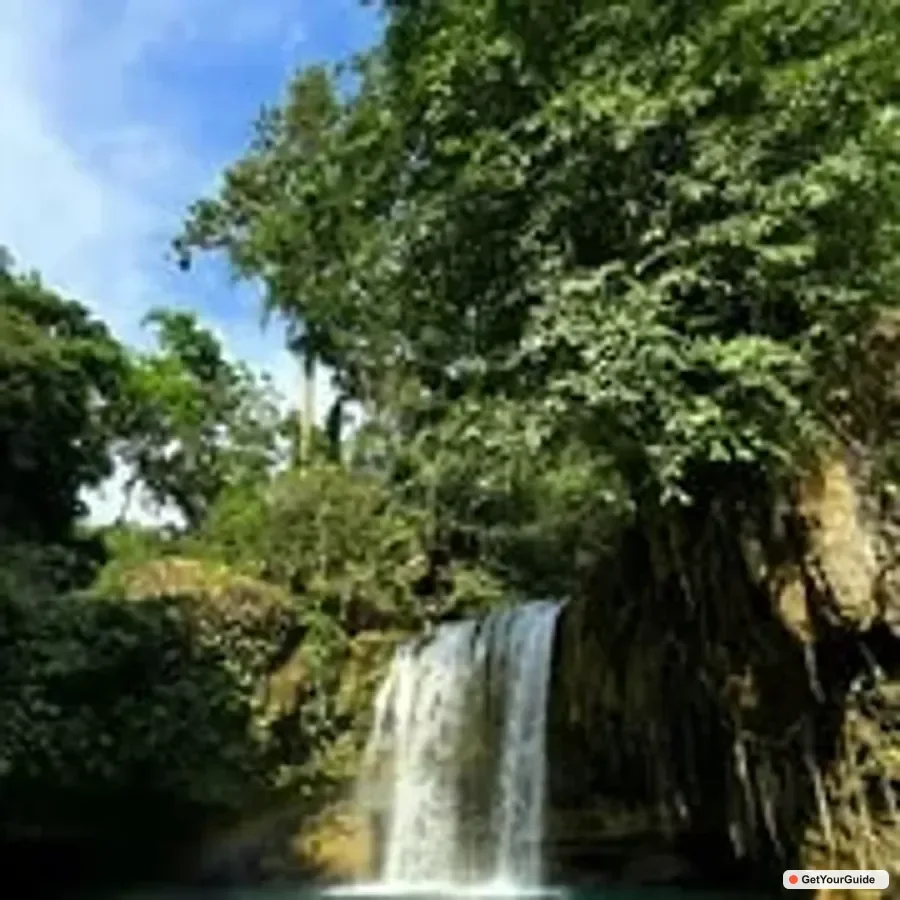 Kawasan Canyoneering, Sardine Run & Turtle Chase
