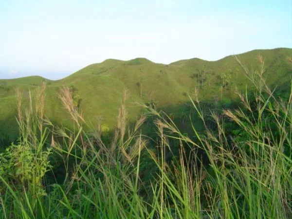 Maasin