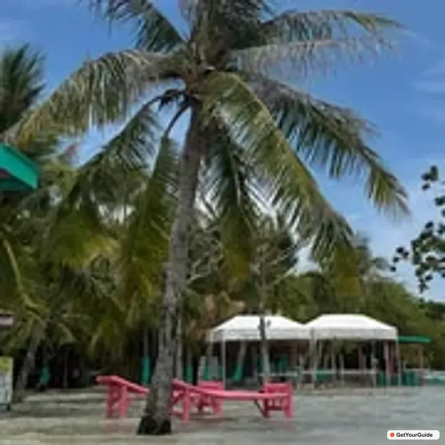 Mactan Island Hopping Boat Tour with Lunch