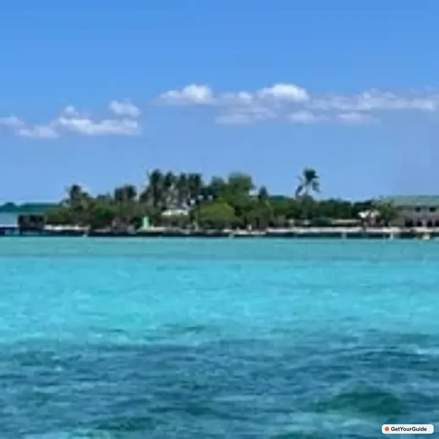 Clear shallow water over coral with small fish near a sandy island in the Mactan area