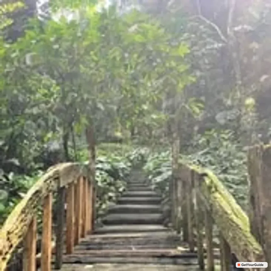 Manila Day Tour to Enchanting Hidden Valley