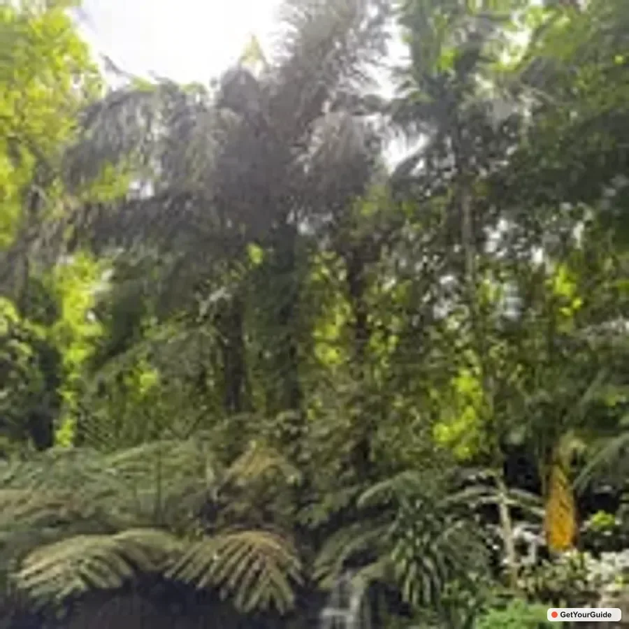 Manila Day Tour to Enchanting Hidden Valley