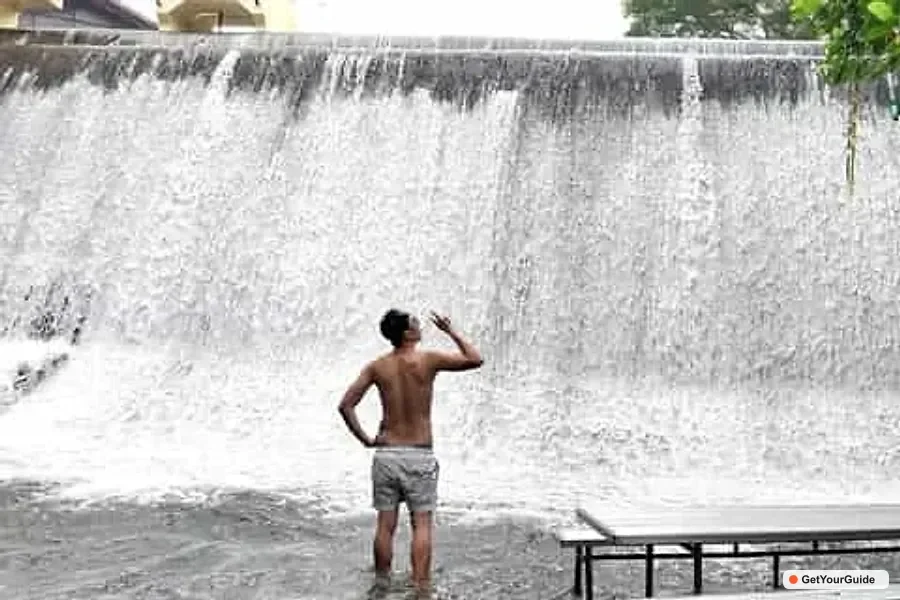 Villa Escudero Private Day Tour with Lunch