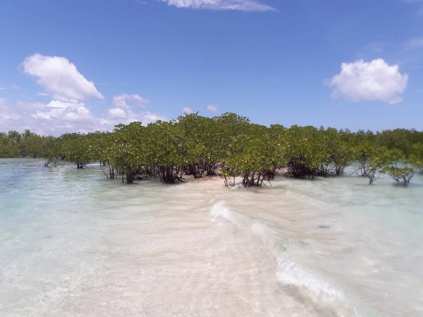 Masbate Buntod Reef Sandbar, Philippines