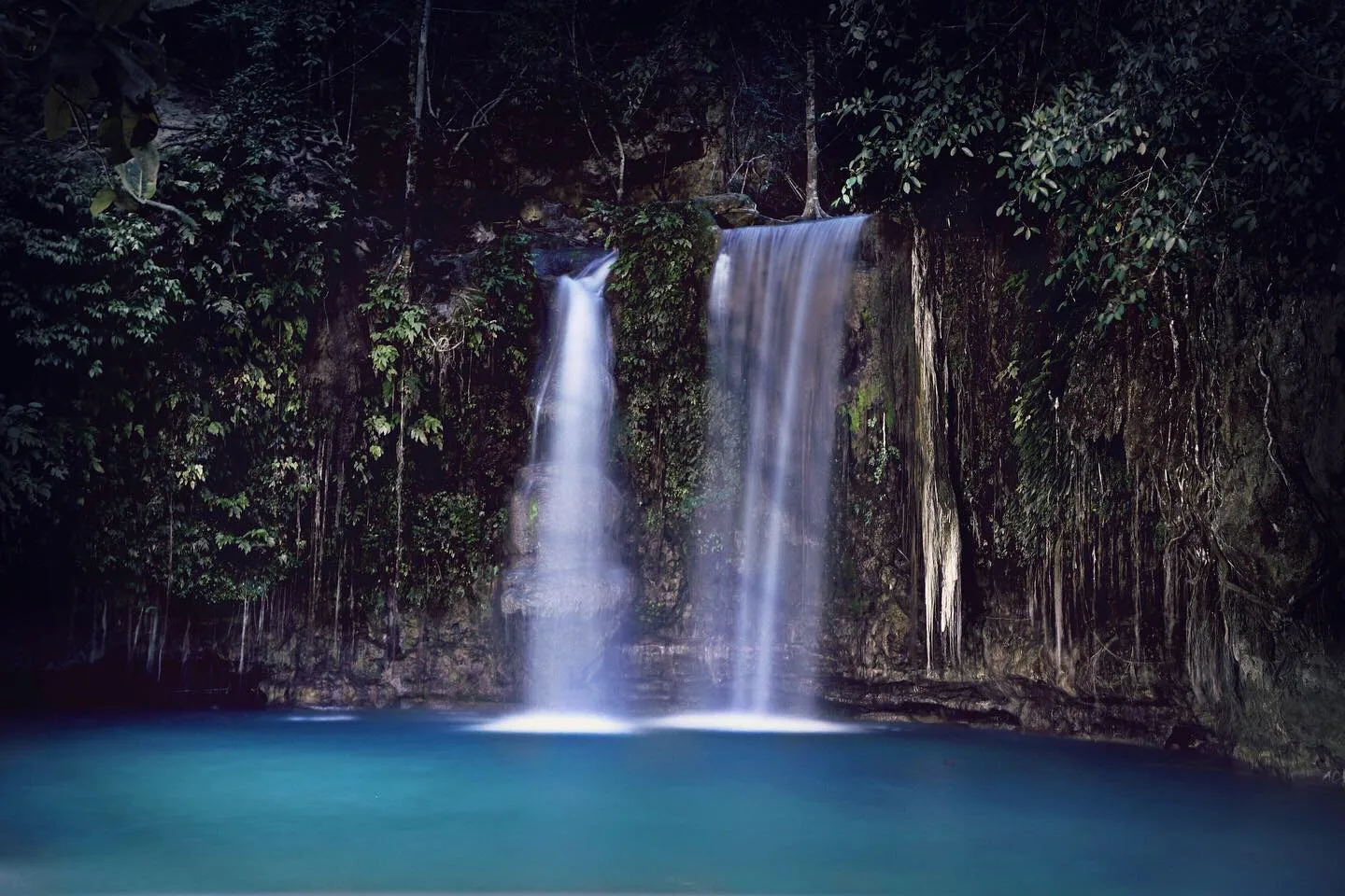 Moalboal Sardine Run Snorkel and Kawasan Canyoneering