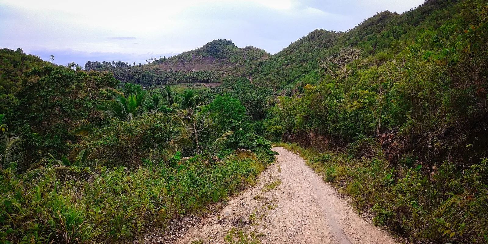 Moalboal Sardines Run Snorkel & Kawasan Canyoneering