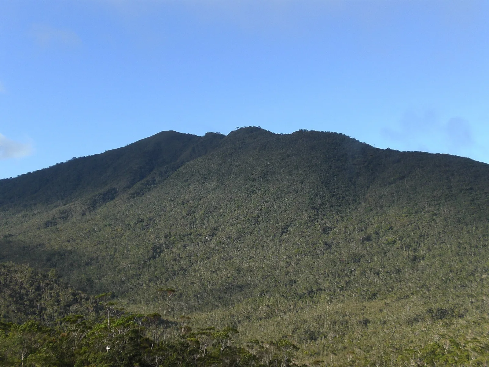 Mount Hamiguitan Pygmy Forest Davao, Philippines