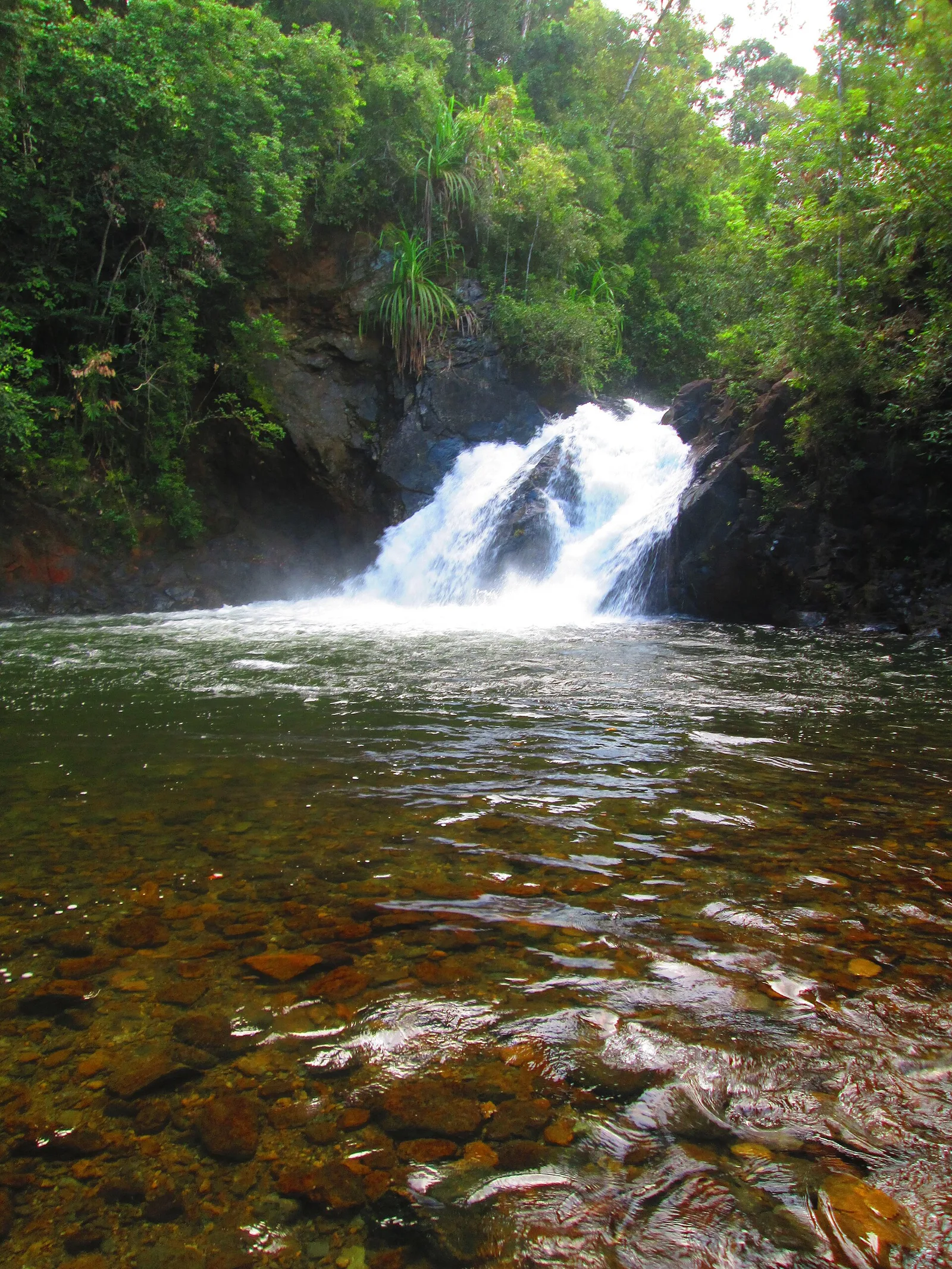 Narra Estrella Falls Palawan, Philippines