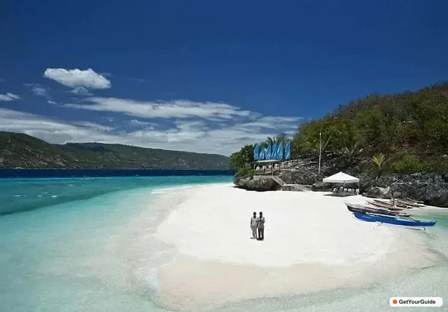 OslobWhale Shark, and Sumilon Sandbar and Inambakan Falls