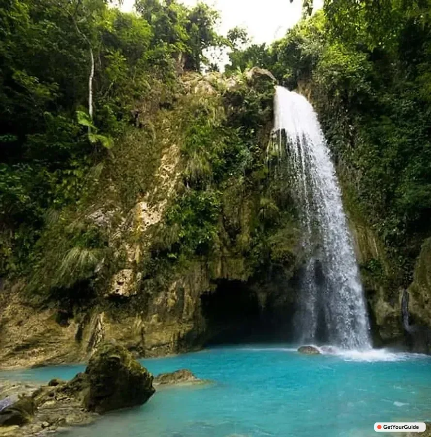 OslobWhale Shark, and Sumilon Sandbar and Inambakan Falls