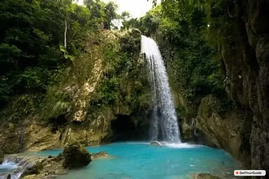 OslobWhale Shark, and Sumilon Sandbar and Inambakan Falls