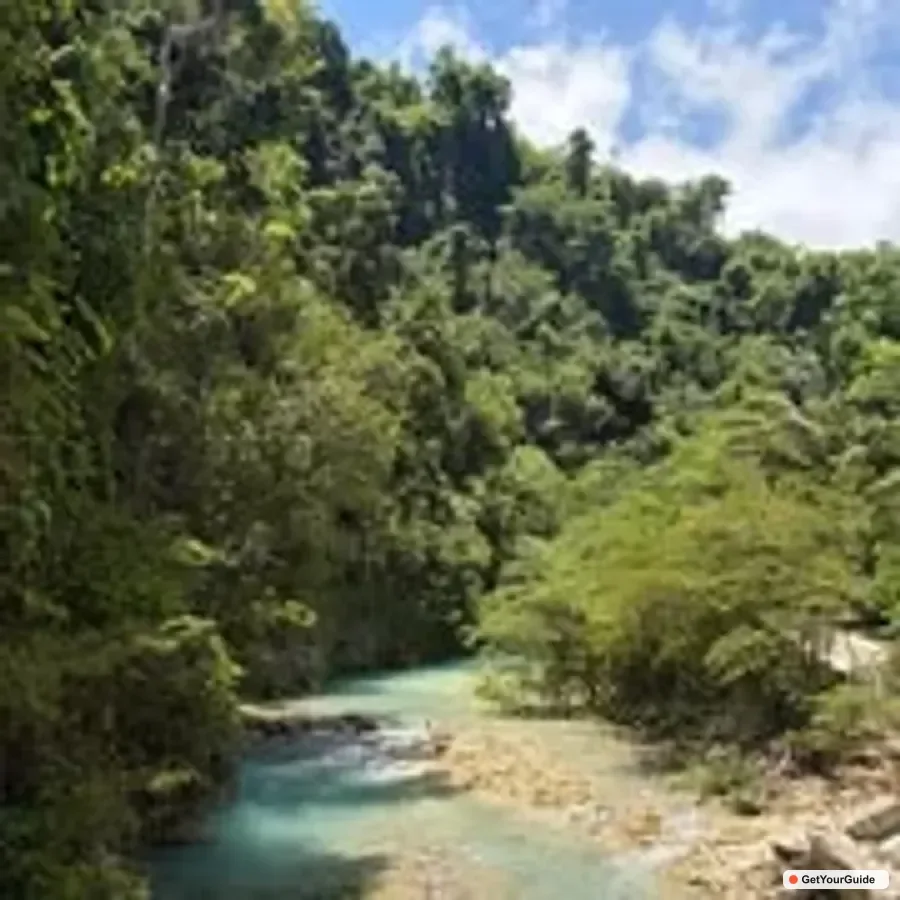 Oslob Whale Sharks Swimming & Kawasan Canyoneering 1