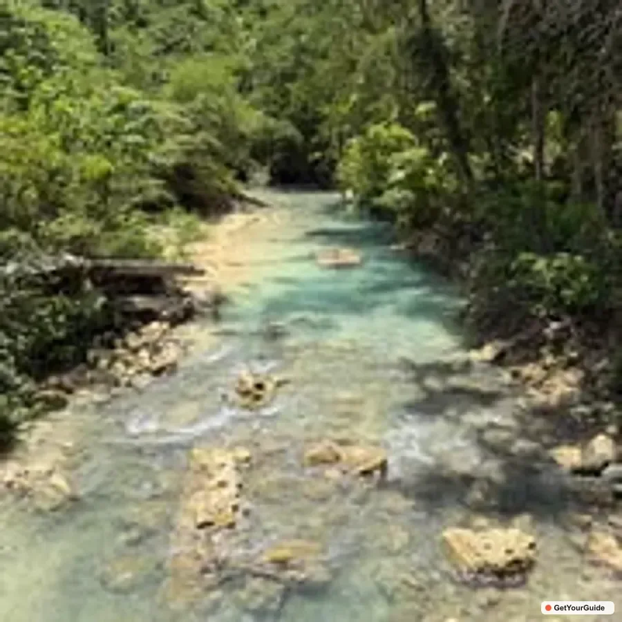 Oslob Whale Sharks Swimming & Kawasan Canyoneering