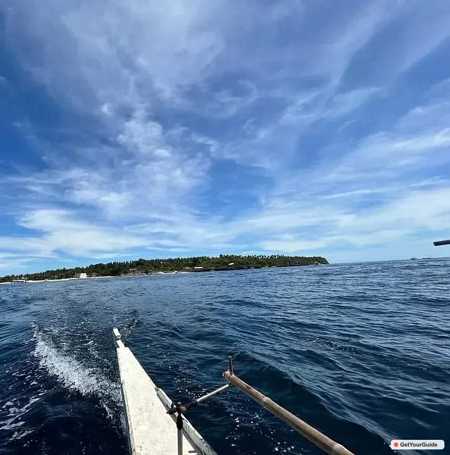 Dolphins, snorkel, lunch and walking tour