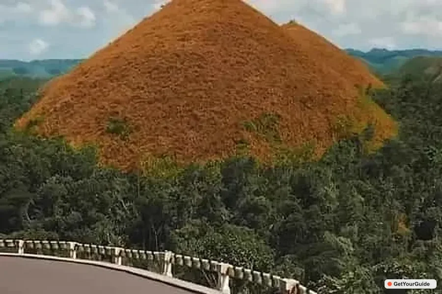 Bohol 3-Day Highlights with Whale Sharks & Chocolate Hills