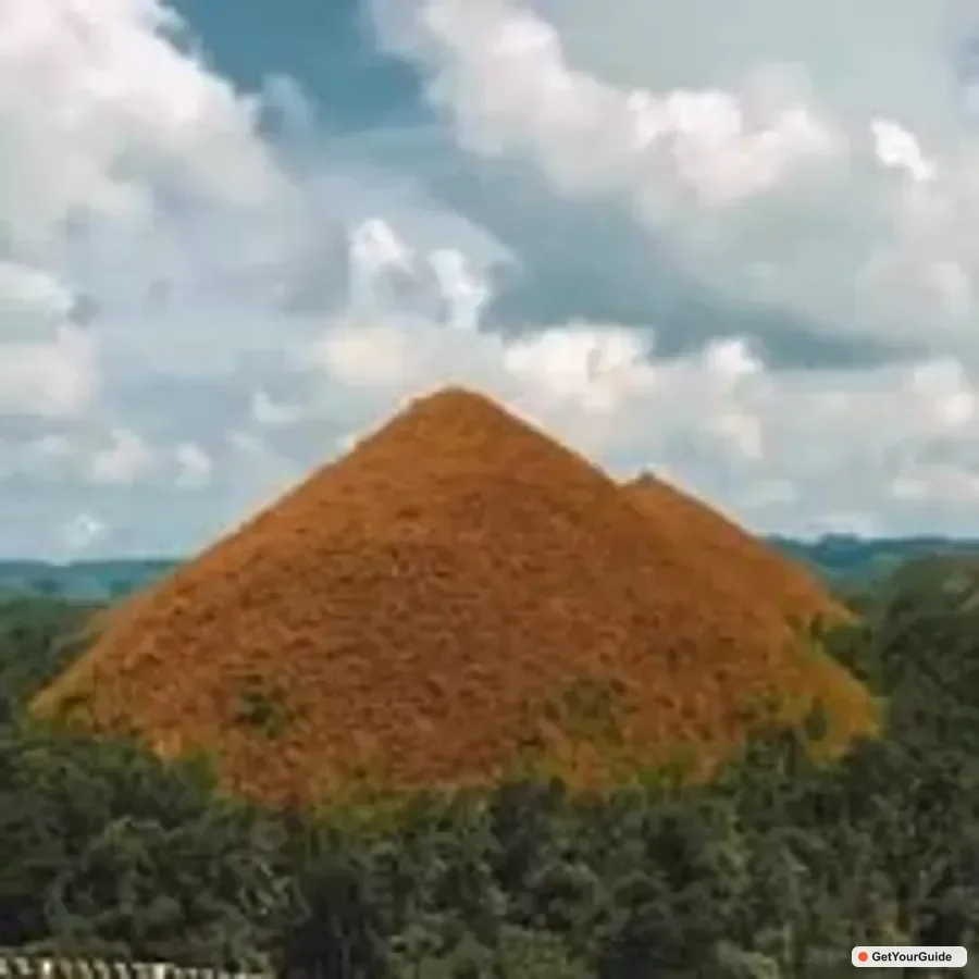 Bohol 3-Day Highlights with Whale Sharks & Chocolate Hills