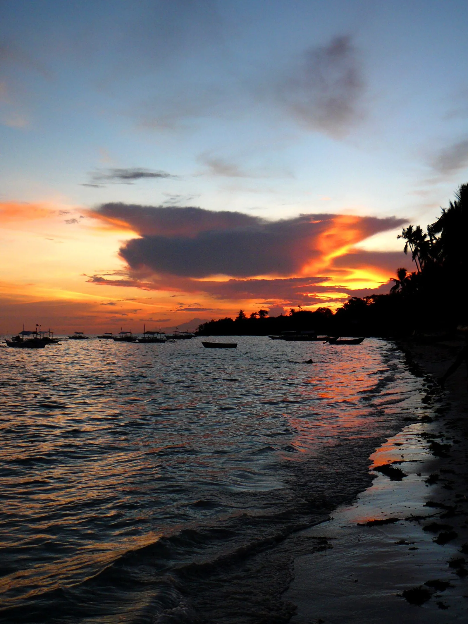 Panglao Island Bohol Travel Guide 2026 | PANA.PH