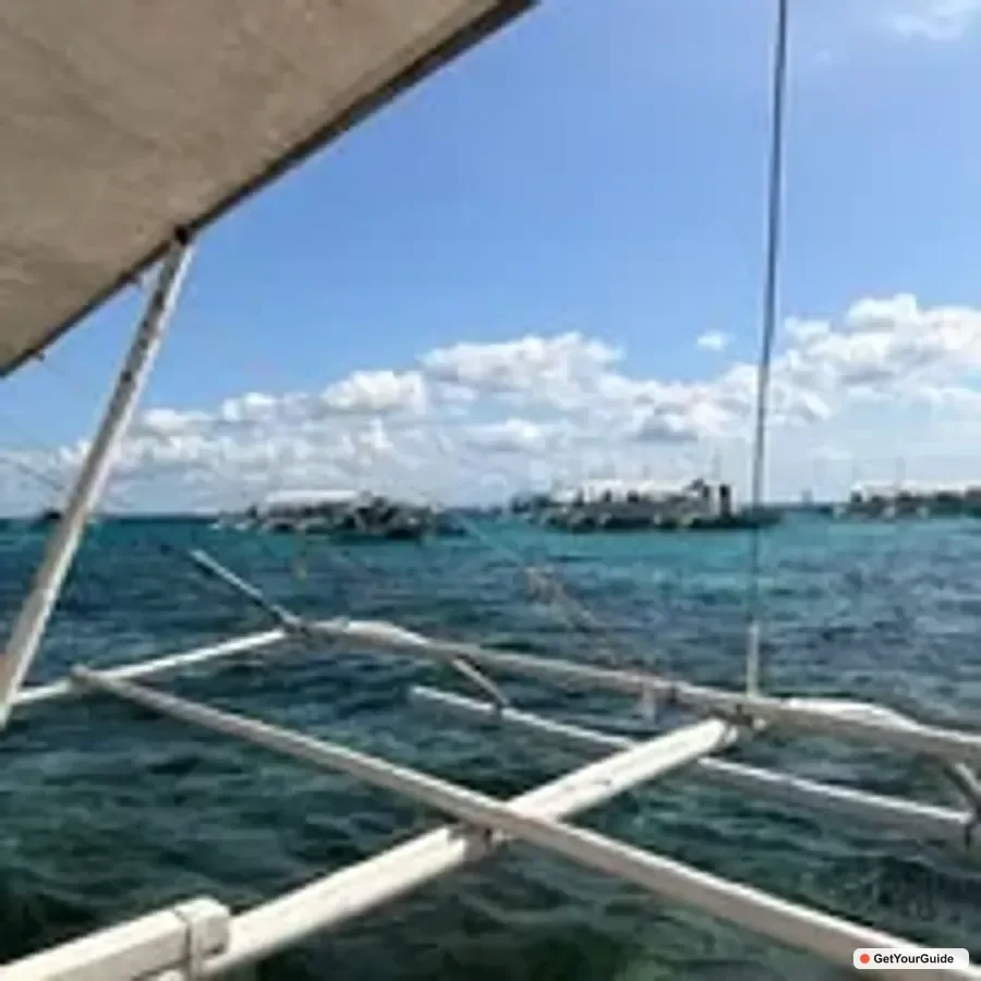 Balicasag Island Hopping & Dolphin Watching