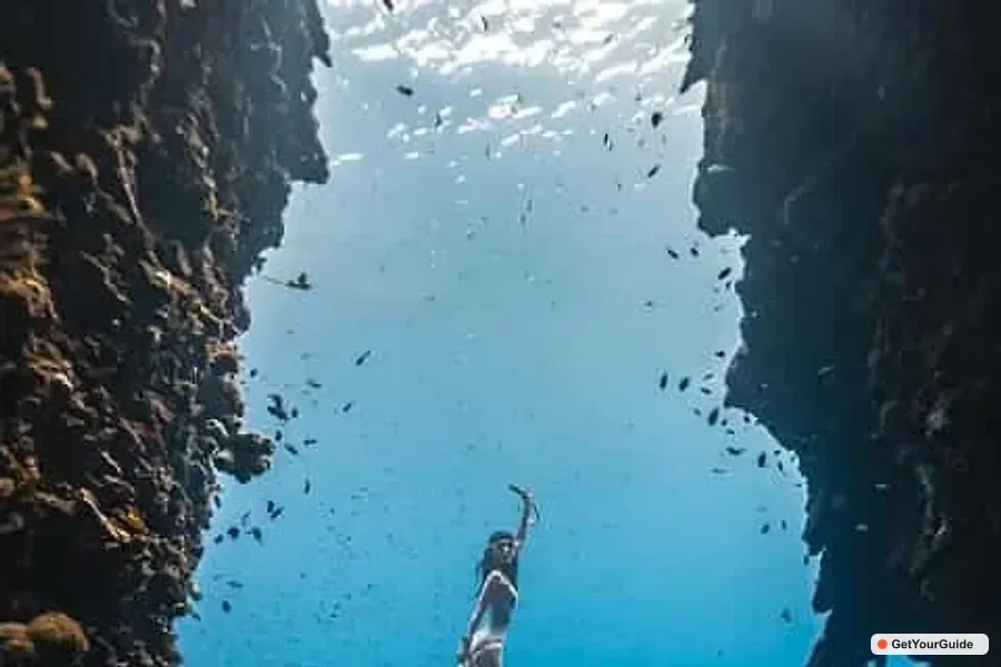 Intro Freediving Class with Pool & Line Training