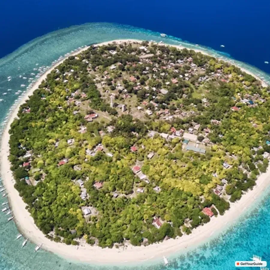 Panglao Island Hopping & Dolphin Watching Tour