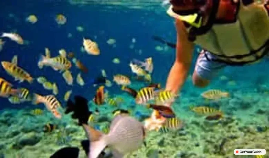Panglao Island Hopping Tour