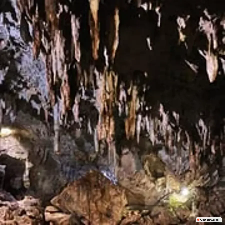 Private Cave Pool, Sardine Snorkeling & Beach Day