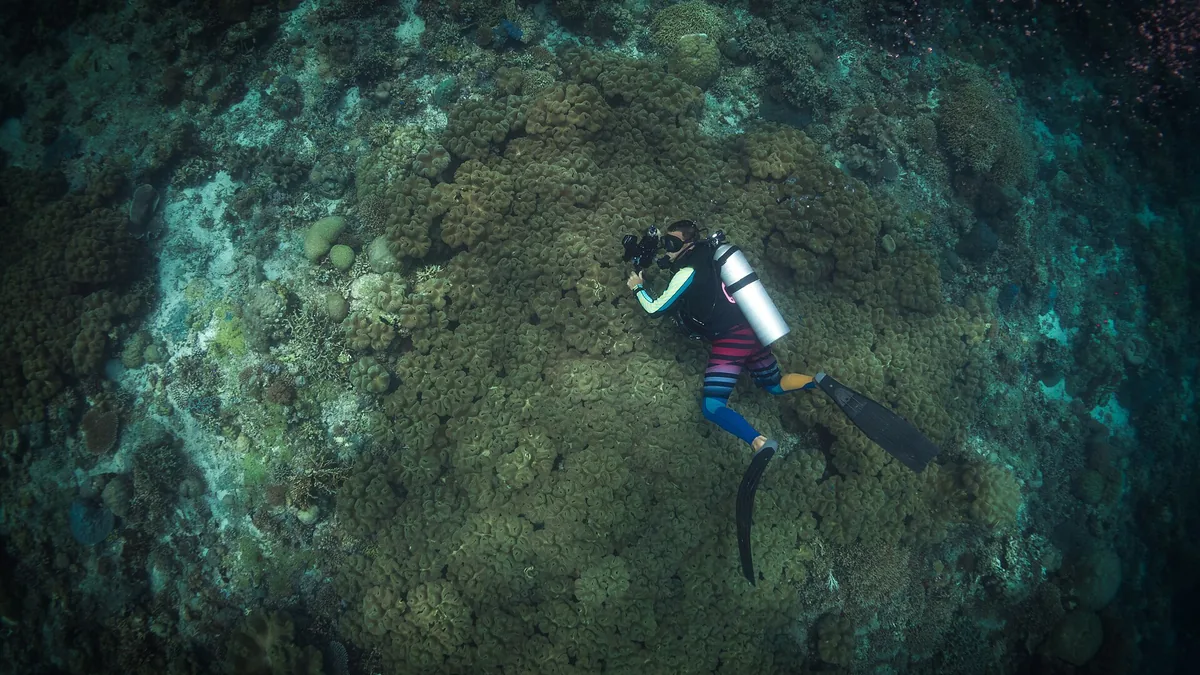 Philippines Marine Biodiversity: Why This Is Asias Ocean Capital