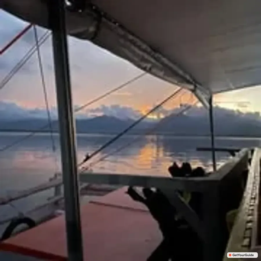 Firefly Watching Bay Cruise with Dinner