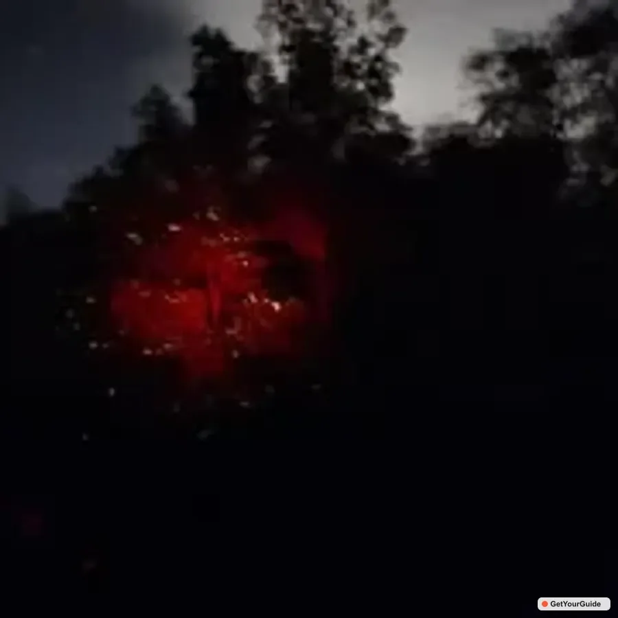 Firefly Watching Paddle Boat Tour & Dinner