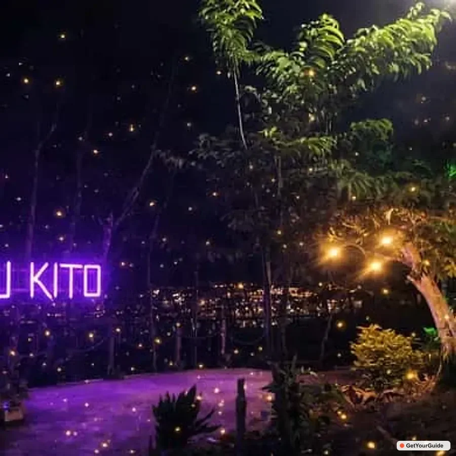Firefly Watching & Seasonal Plankton Tour