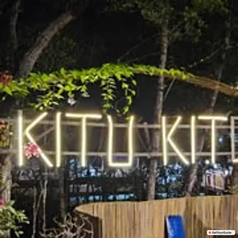 Firefly Watching & Seasonal Plankton Tour