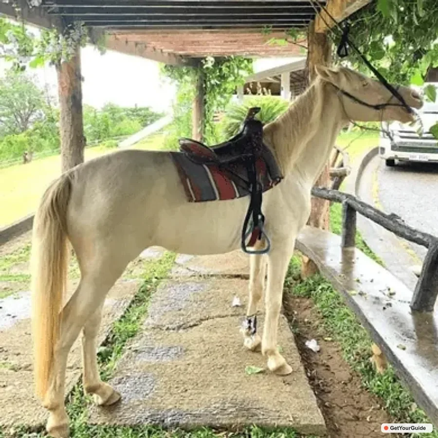 Half-Day City Tour | Puerto Princesa