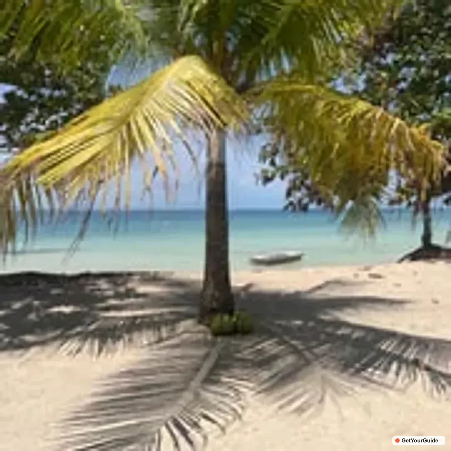 Honda Bay Island Hopping & Optional Massage