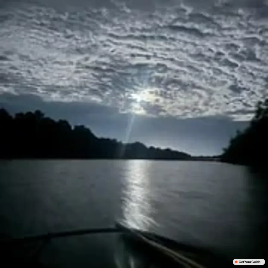Iwahig Firefly Watching & River Cruise