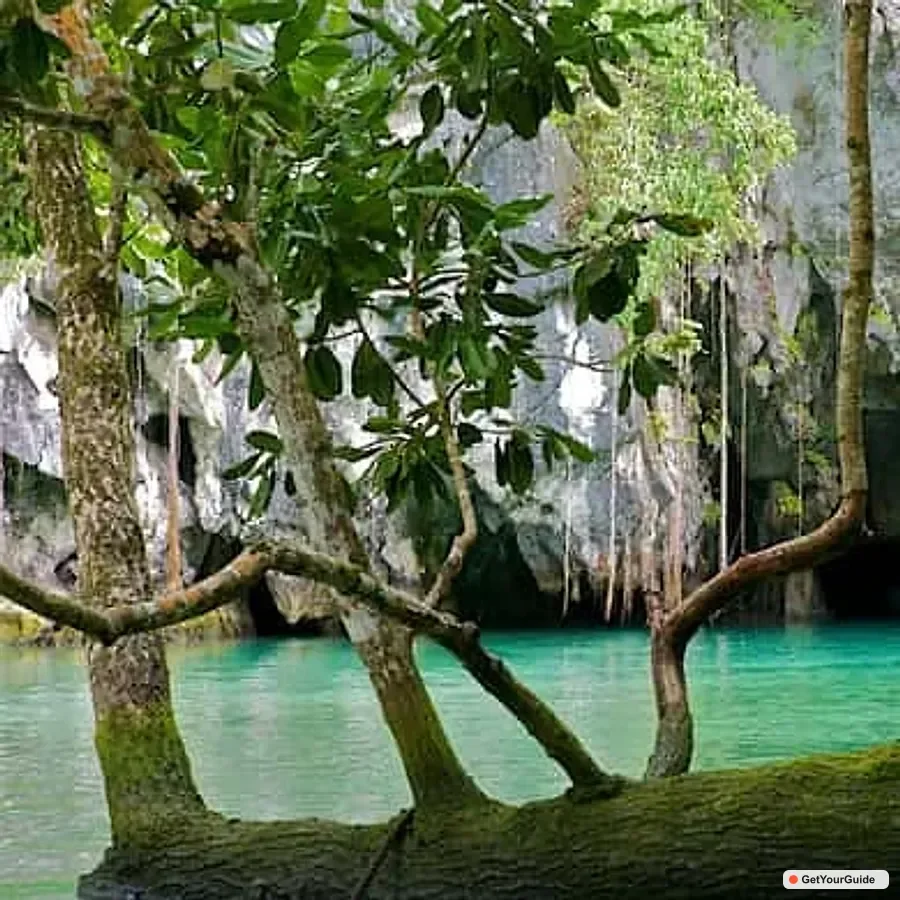Puerto Princesa Underground River and Firefly Watching Tour