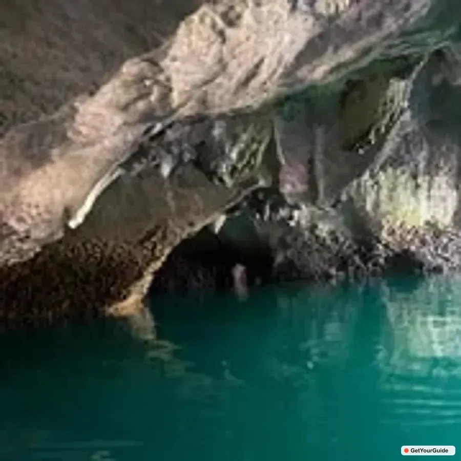 Puerto Princesa Underground River and Firefly Watching Tour
